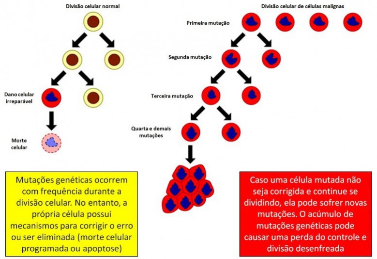 alterações genéticas causam câncer