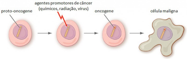 danos geneticos causam cancer